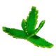 Aloe Vera crop image