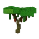 Cacao crop image