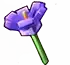 Crocus crop image