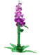Foxglove crop image