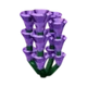Lavender crop image
