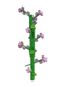 Lilac crop image