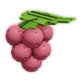 Lingonberry crop image