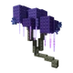 Moon Blossom crop image
