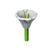 Moonflower crop image