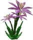 Paradise Petal crop image