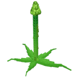 Tall Asparagus crop image