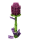 Violet Corn crop image