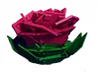 Briar Rose crop image