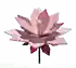 Cyclamen crop image