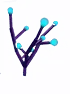 Glowthorn crop image