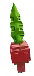 Radish crop image