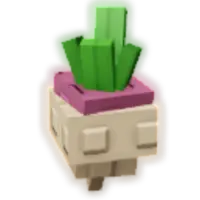 Turnip crop image