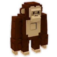 Chimpanzee