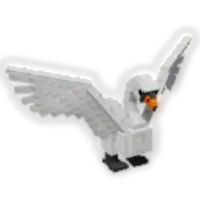 Swan